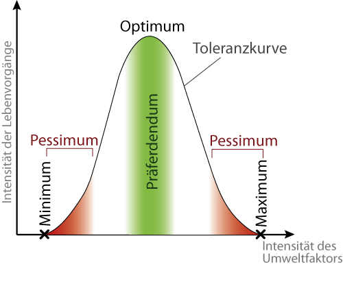 Klausur von 23.05.11 :: Abi-gg09